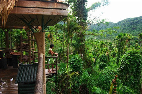 玻璃养生壶哪个品牌值得买