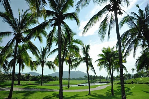 短袖t恤品牌排行榜