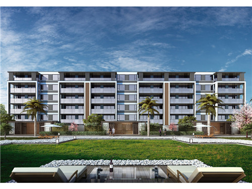 单反相机10大品牌