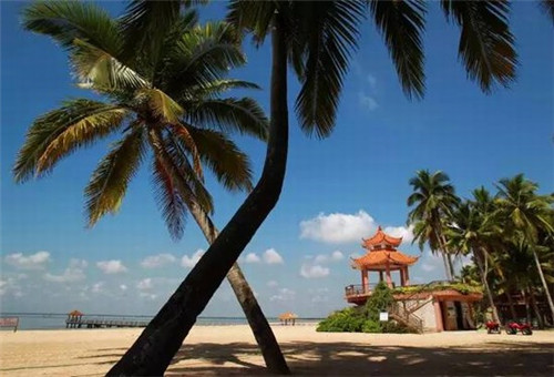 中式快餐加盟需要做哪些准备，加盟胡桃里音乐餐厅有哪些优惠