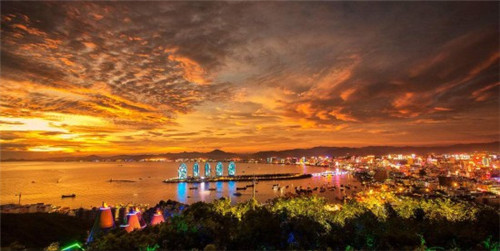 力存优太特医全营养配方食品（力存优太官网）