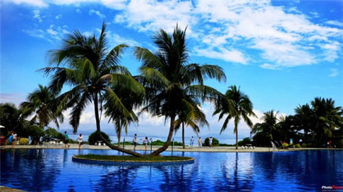 力高君誉滨江是什么物业（力高君誉滨江楼盘）