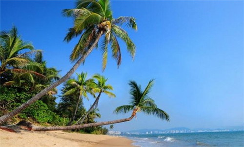 物业公司按什么进行交税（物业公司按照什么上税）