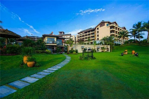 当年手机店的歌叫什么（手机店何去何从）