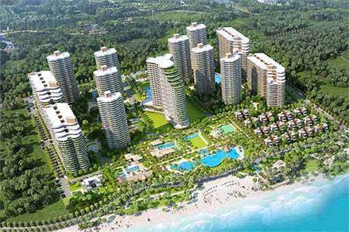 杂交泰迪十大禁忌是什么（杂交泰迪狗狗好养吗）