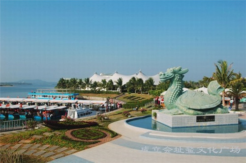 安徽四建控股集团有限公司王国志（安徽四建王红兵）