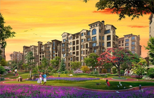 apex手游新手玩什么（apex新手选什么）